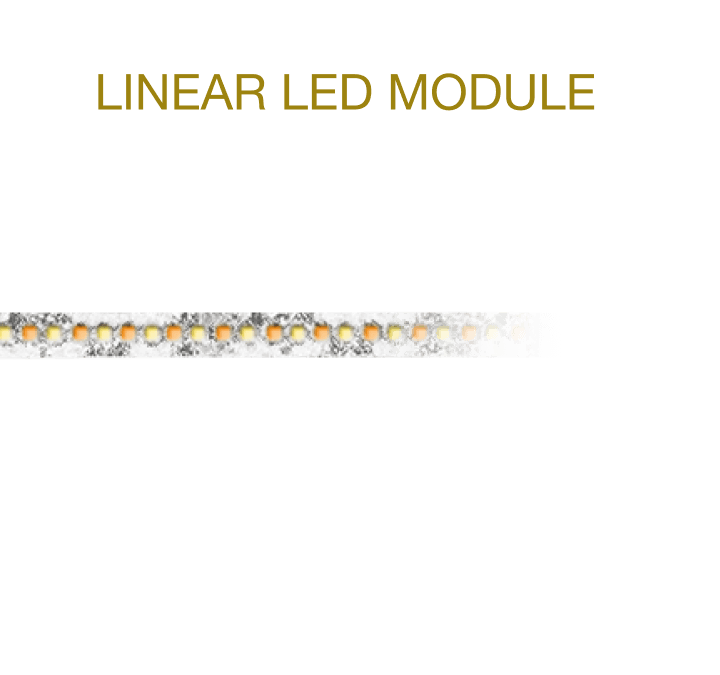Linear LED Module