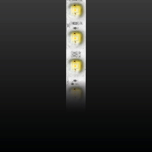 FM23WW-30
