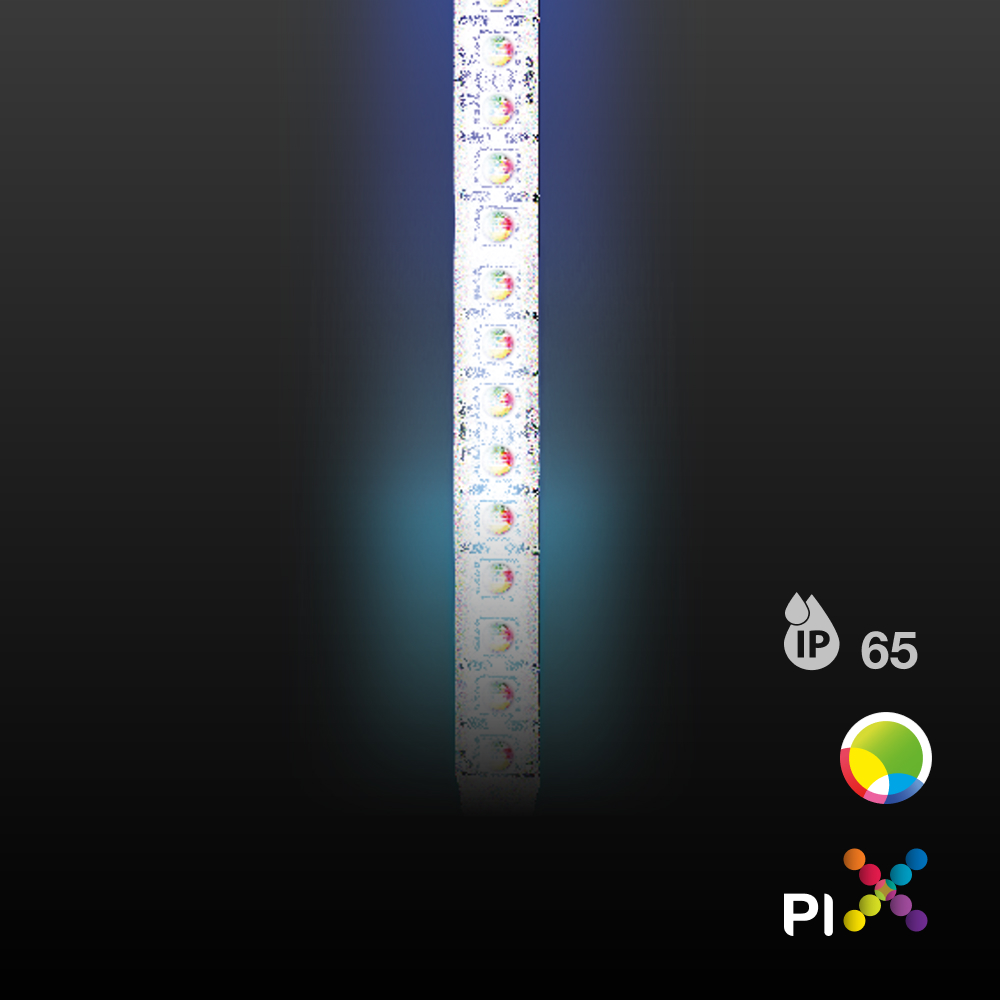 FM12RGBW-12PiX (IP65)
